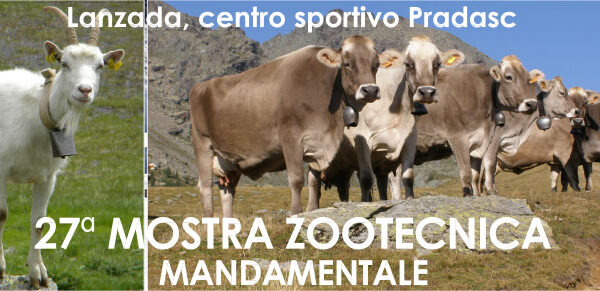 Mostra Zootecnica 2014